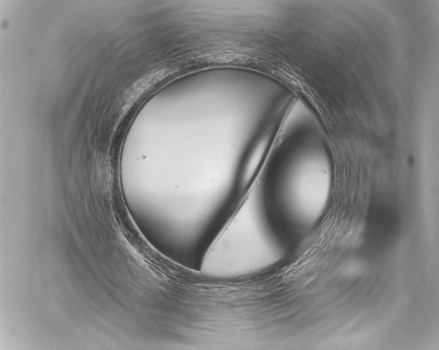 X0000060250626200510281145