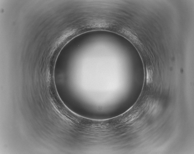 X0000060250627200510281145