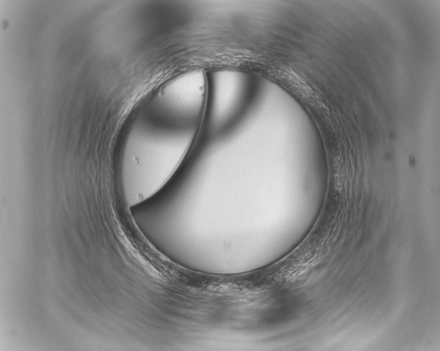 X0000060250634200510281145