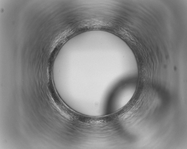 X0000060250638200510281145