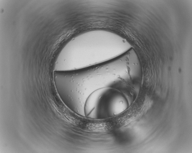 X0000060250639200510281145