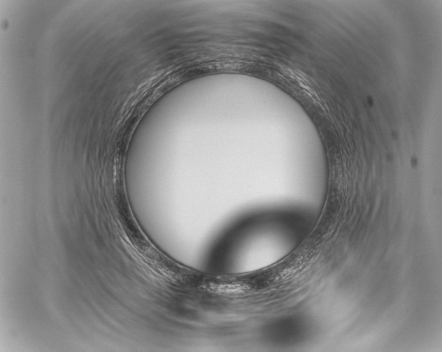 X0000060250645200510281145