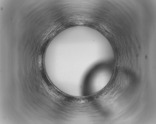 X0000060250646200510281145
