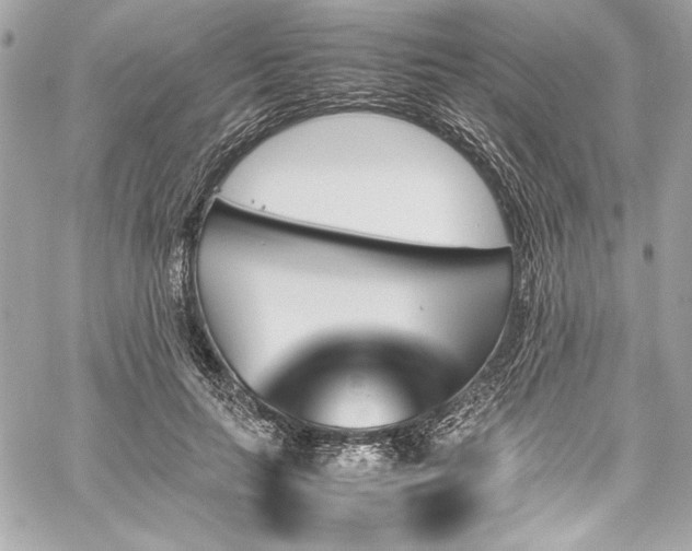 X0000060250647200510281145