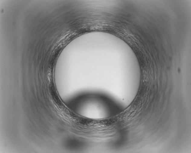 X0000060250648200510281145