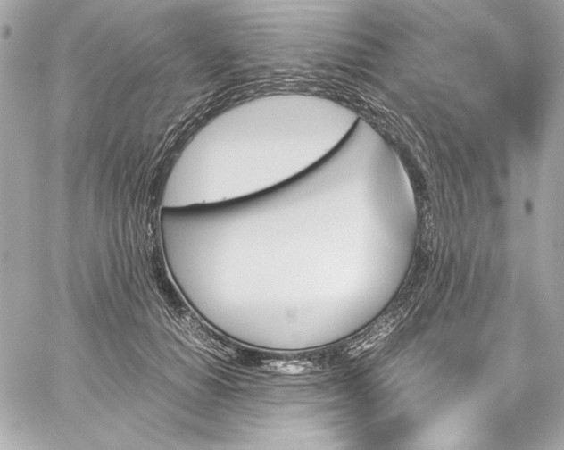 X0000060250654200510281145