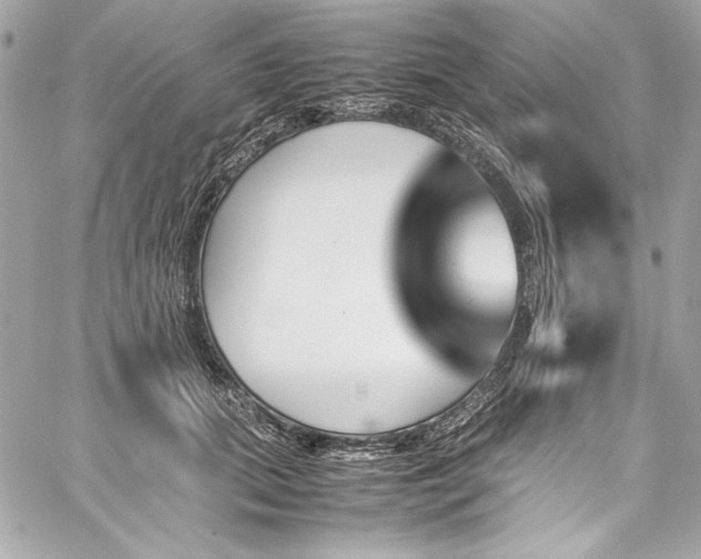 X0000060250655200510281145