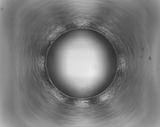 X0000060250664200510281146