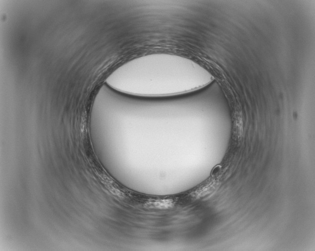 X0000060250665200510281146