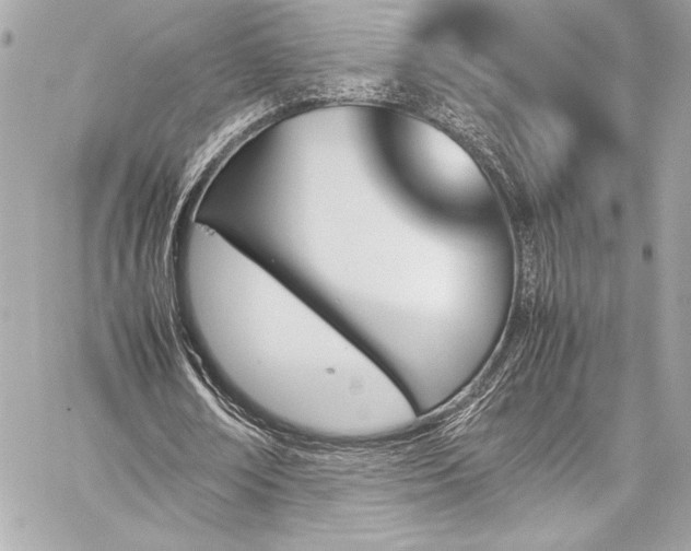 X0000060250674200510281145