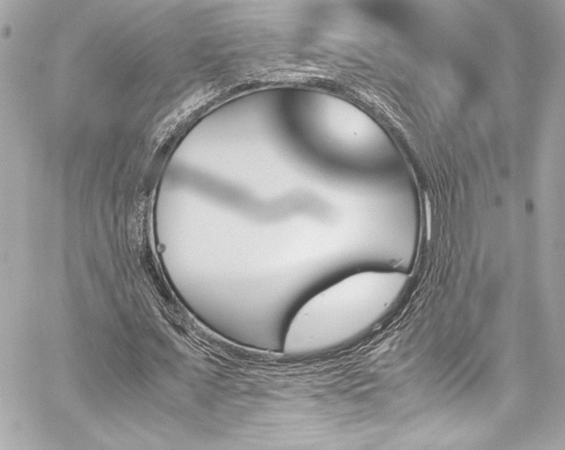 X0000060250675200510281145