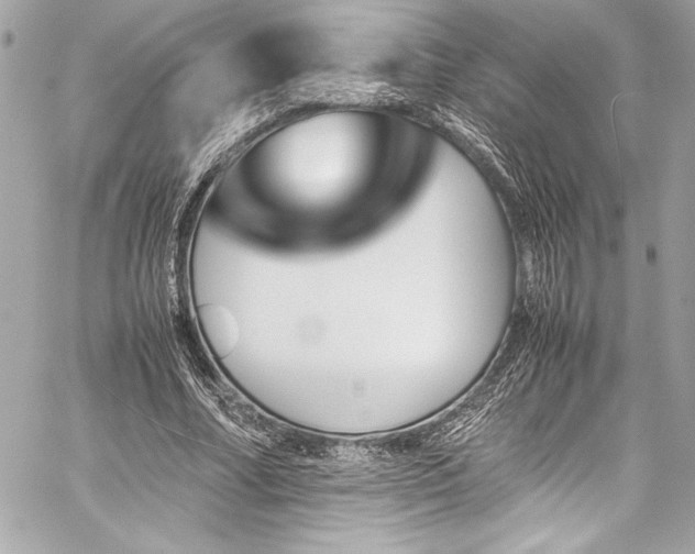 X0000060250682200510281145