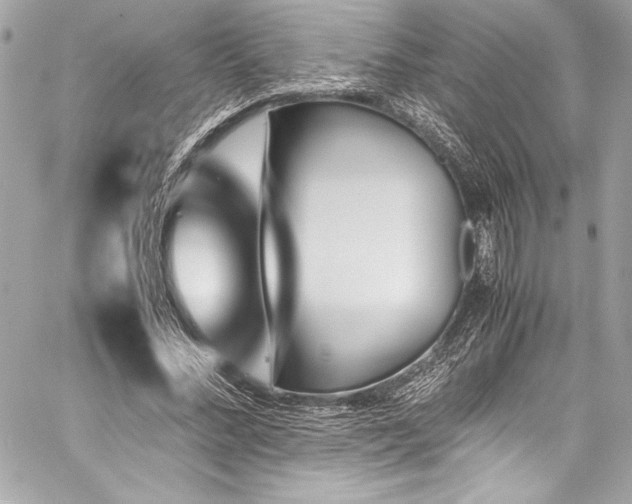 X0000060250684200510281145