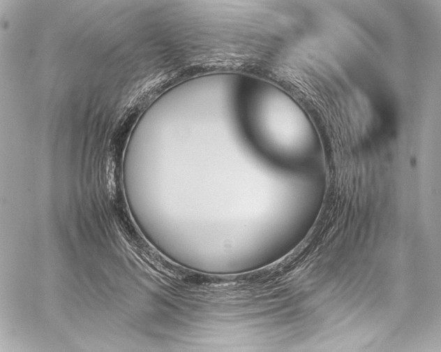X0000060250692200510281145
