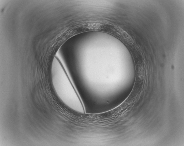 X0000060250697200510281145