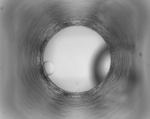X0000060250702200510281144