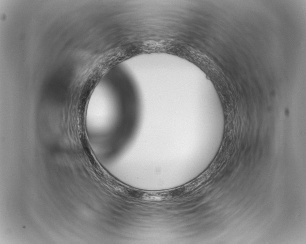 X0000060250706200510281144