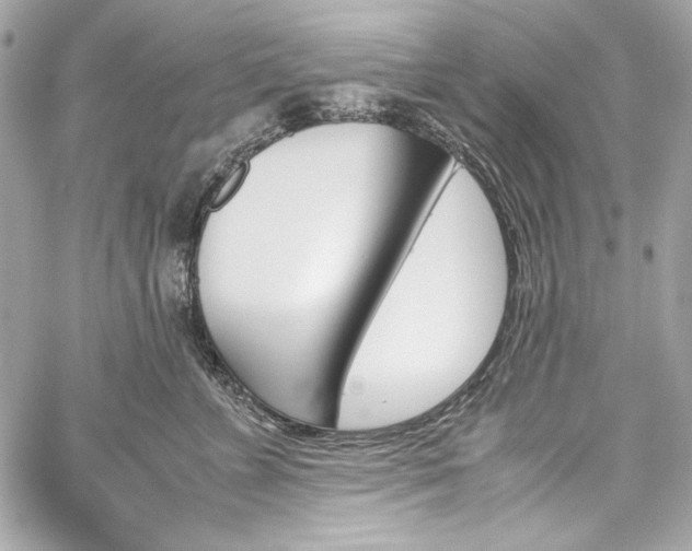 X0000060250715200510281144