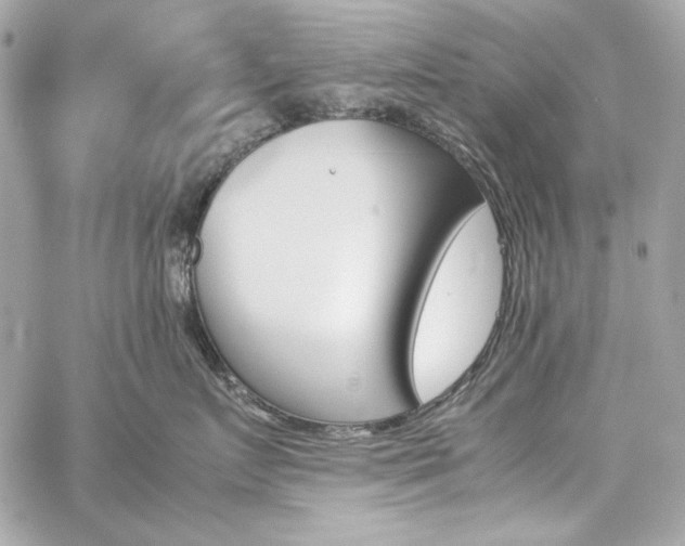 X0000060250719200510281144