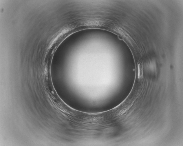 X0000060250723200510281143