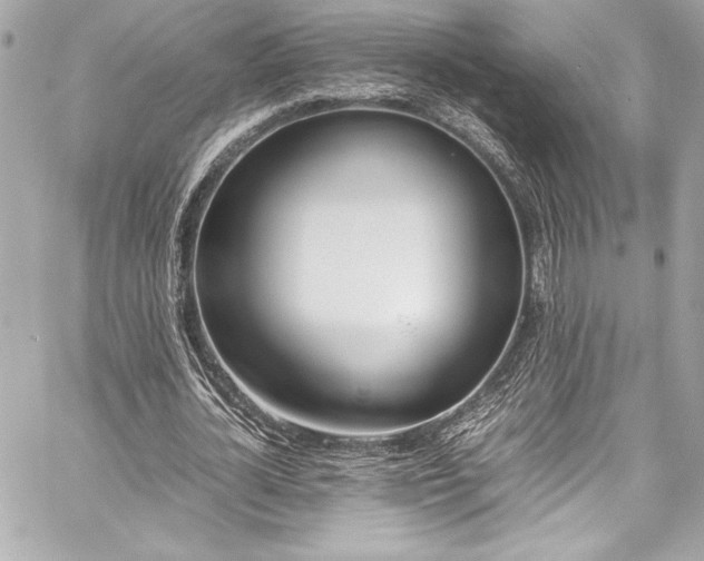 X0000060250724200510281143