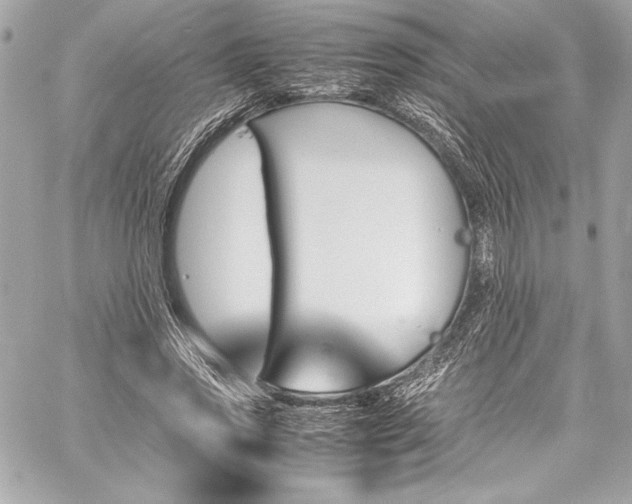 X0000060250733200510281144
