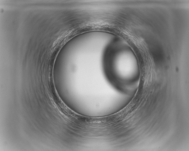 X0000060250740200510281144