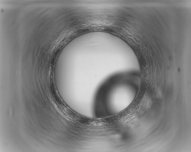 X0000060250742200510281144