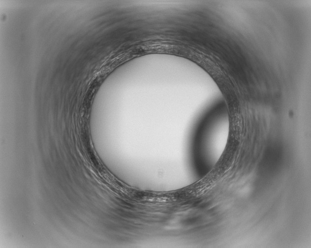 X0000060250751200510281144