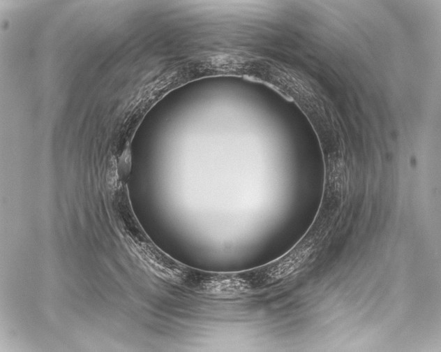 X0000060250752200510281144