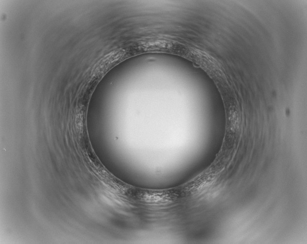 X0000060250753200510281144