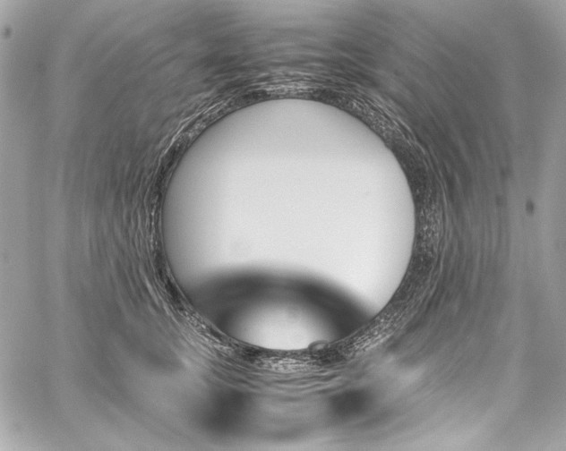 X0000060250755200510281144