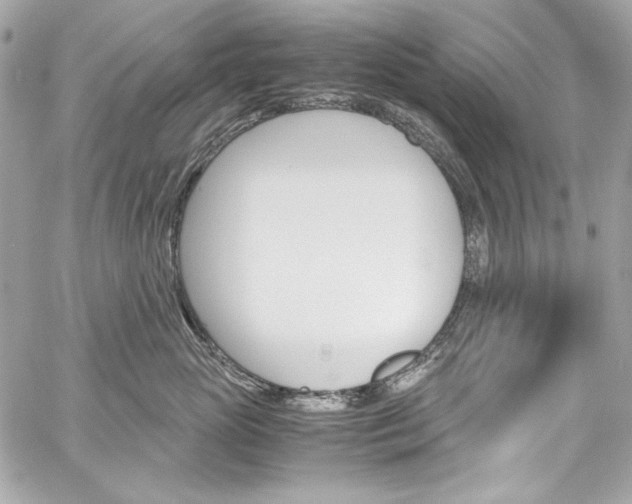 X0000060250765200510281144