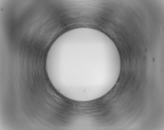 X0000060250766200510281144