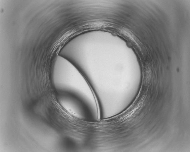 X0000060250778200510281143