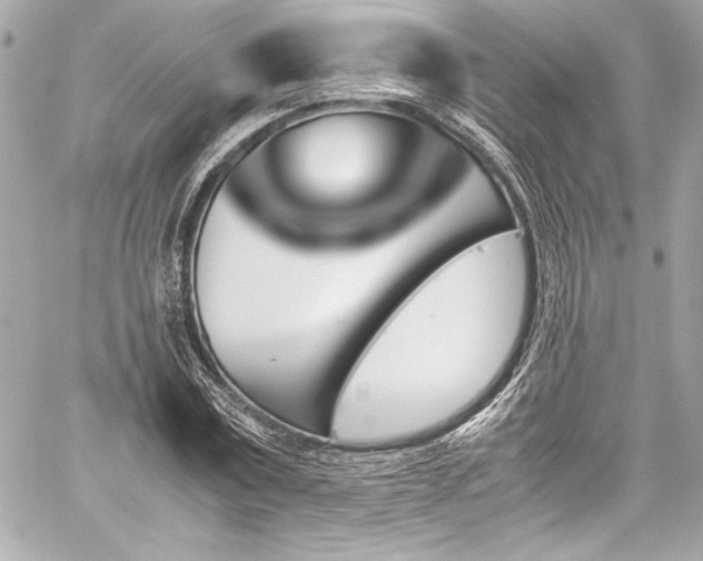 X0000060250779200510281143
