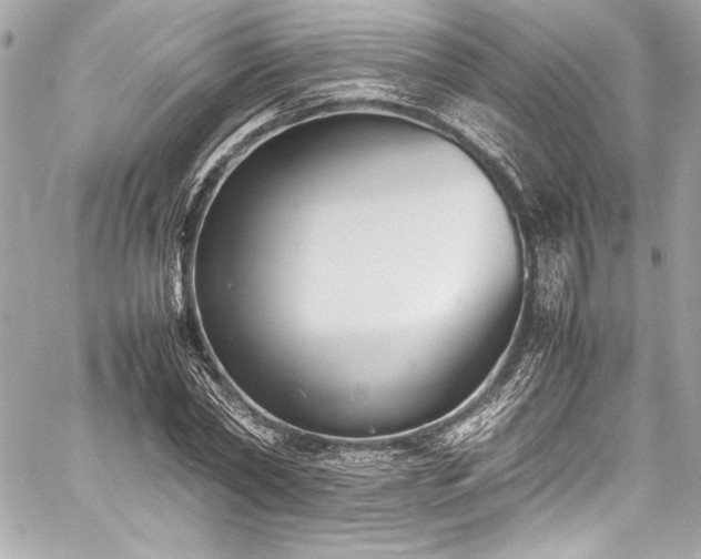 X0000060250782200510281143