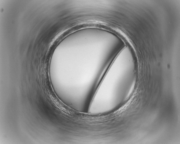 X0000060250783200510281143