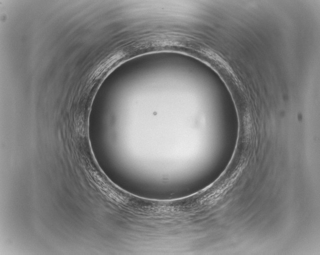 X0000060250785200510281143