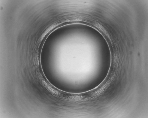 X0000060250789200510281143