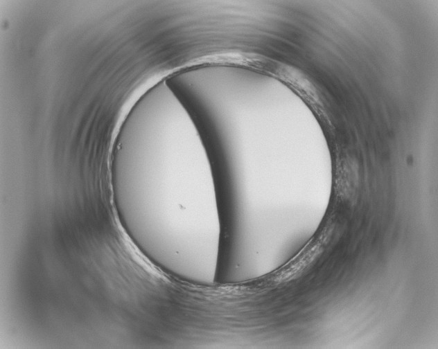 X0000060250808200510281143