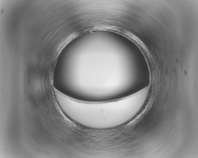 X0000060250809200510281143