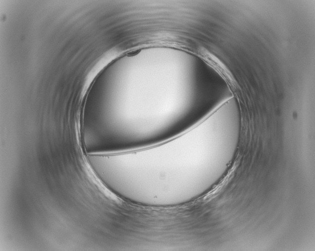 X0000060250812200510281143