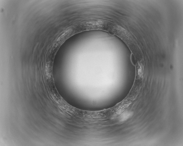 X0000060250819200510281142