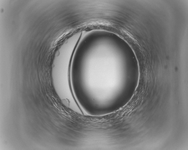 X0000060250824200510281142