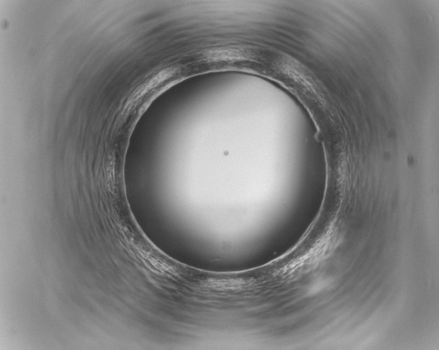 X0000060250825200510281142
