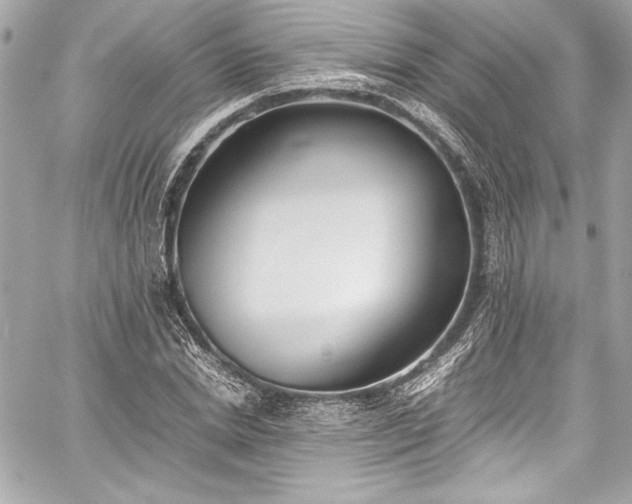 X0000060250830200510281142