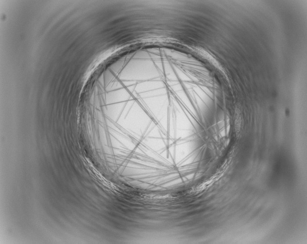 X0000060250831200510281142