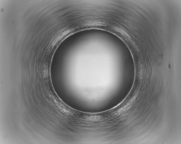 X0000060250833200510281142