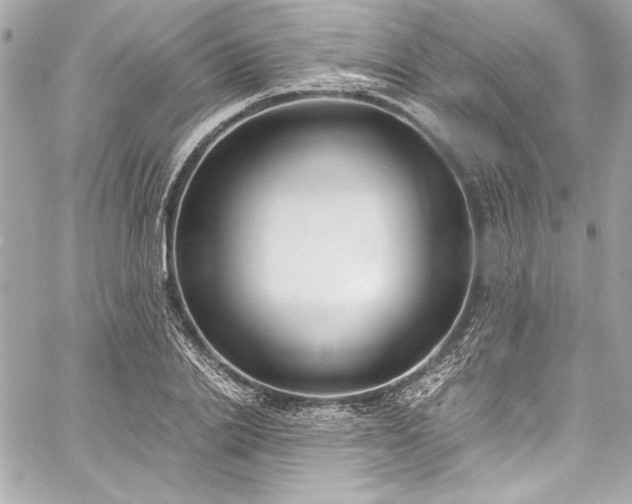 X0000060250838200510281142